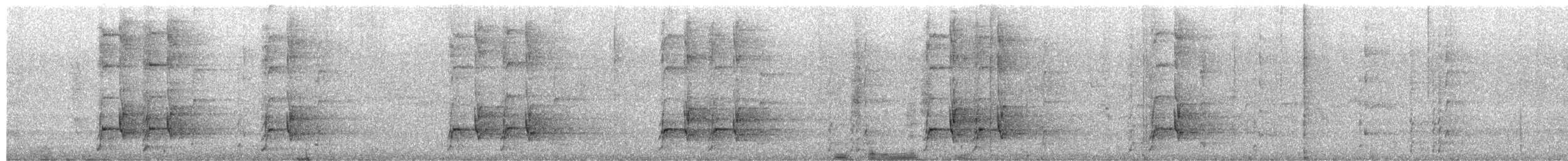 Perico Elegante - ML652689050