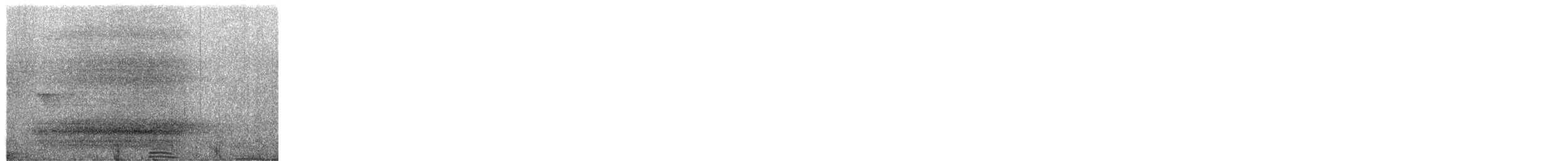 Ave del Paraíso Festoneada - ML652689051