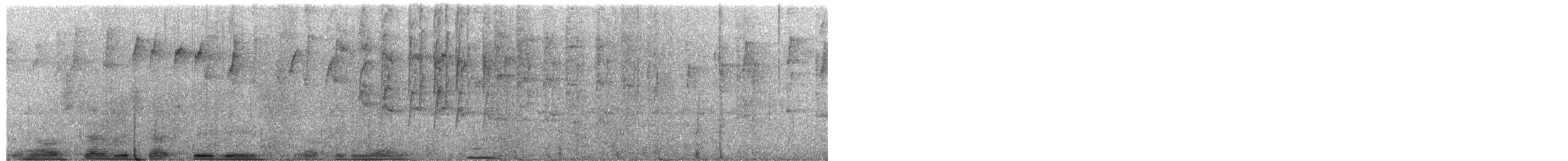 Sedosito Picudo - ML652689057