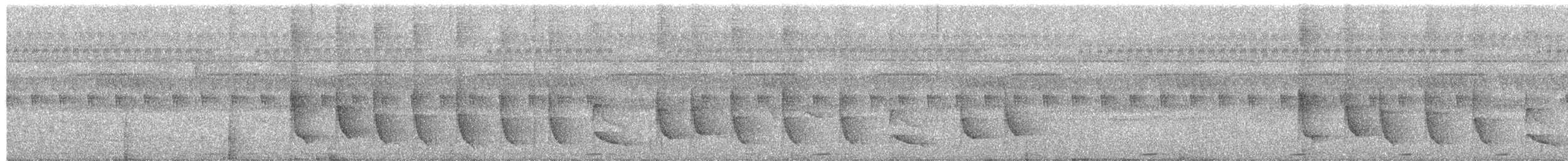 Paseriformea sp. - ML652692528