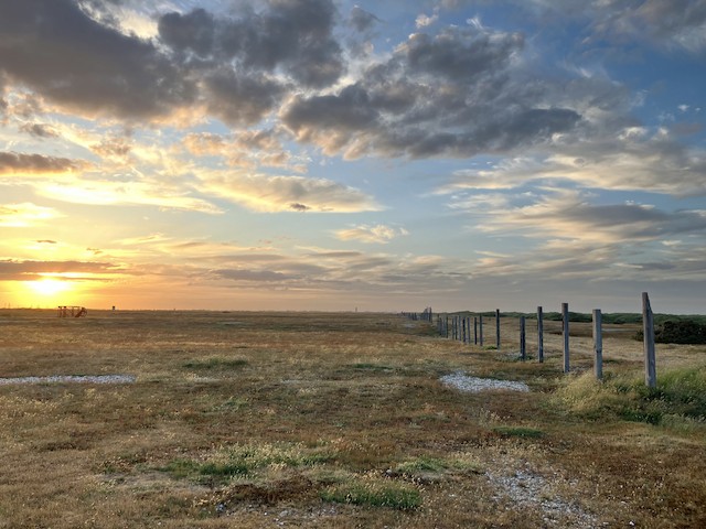 Dungeness Bird Observatory Recording Area, Kent, England, United Kingdom -  eBird Hotspot
