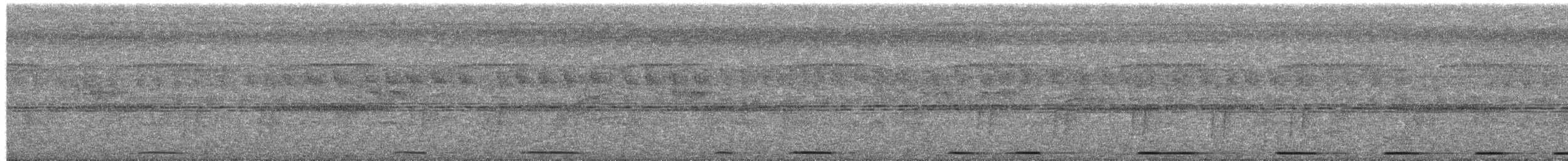 Hegaztia sp. - ML652693150