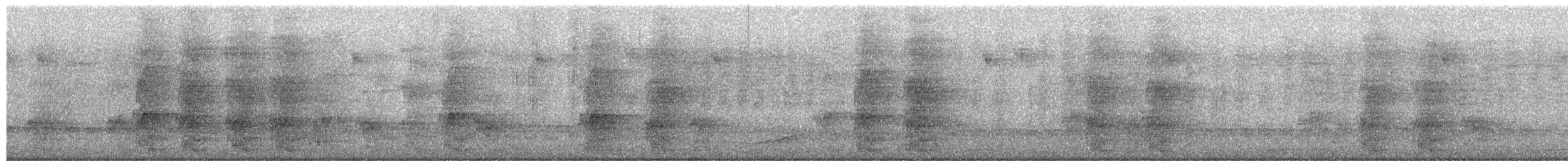 Perico Elegante - ML652693893