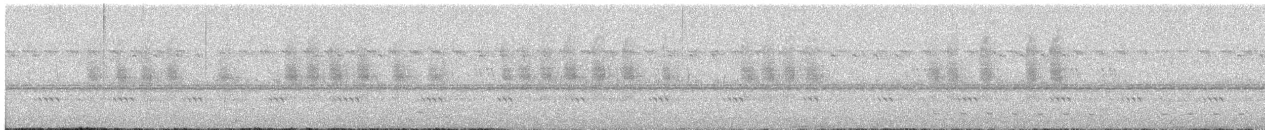 Hegaztia sp. - ML652694391