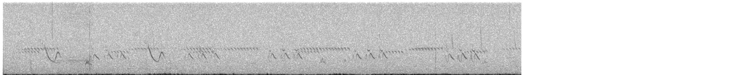 Hegaztia sp. - ML652694392