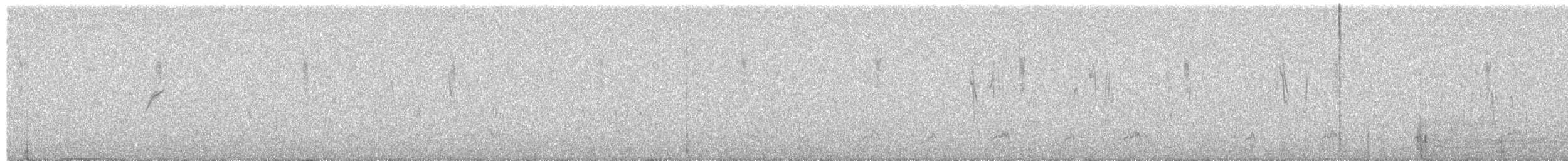 Hegaztia sp. - ML652694393