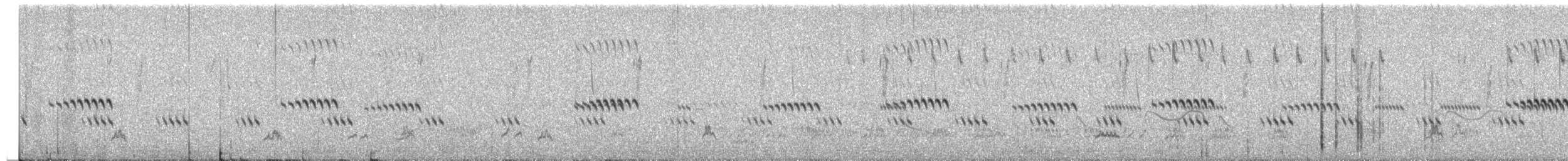 Hegaztia sp. - ML652694394