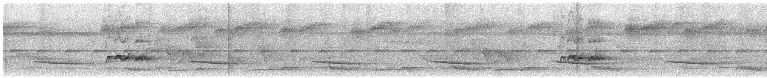 Tiny Tyrant-Manakin - ML652694950