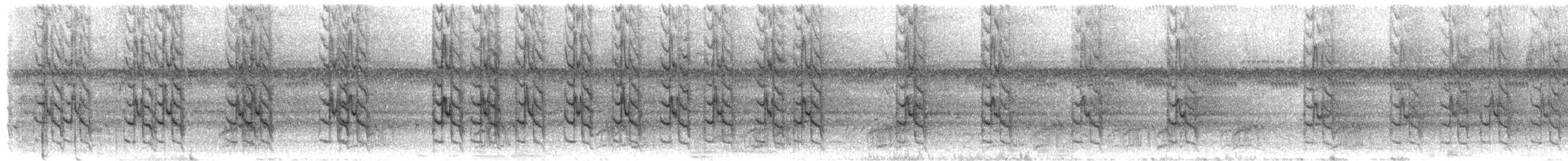 Dusky Parrot - ML652695117