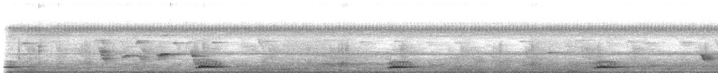 Lineated Barbet - ML652695432