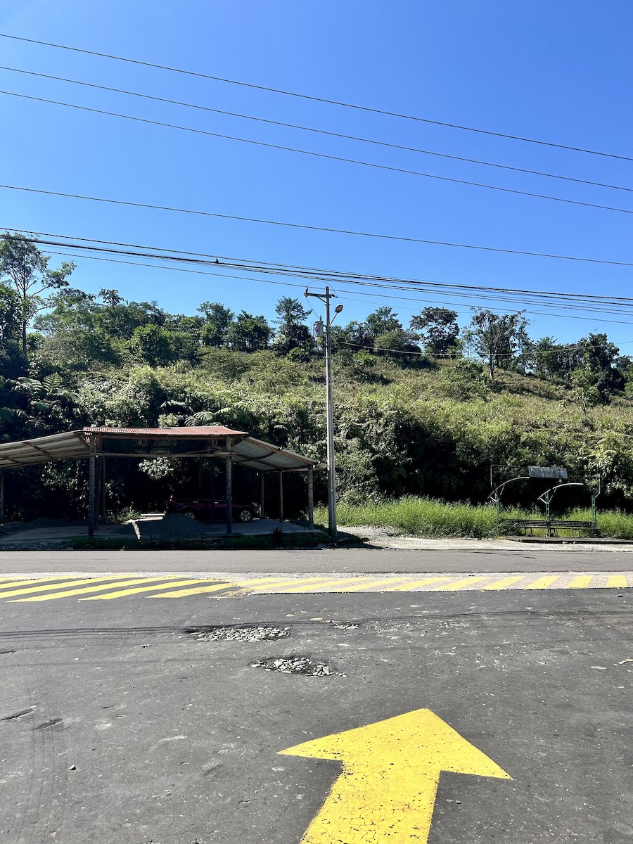 Mango à cravate noire - ML652699631