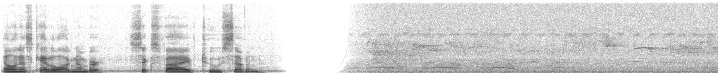 Elegant Trogon - ML6527