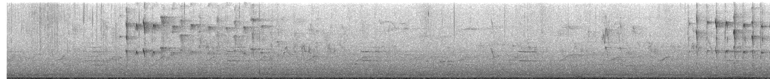 Hairy Woodpecker - ML652702505