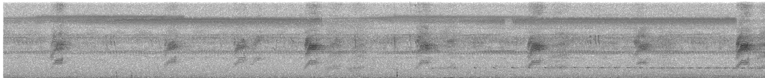 Paseriformea sp. - ML652702953