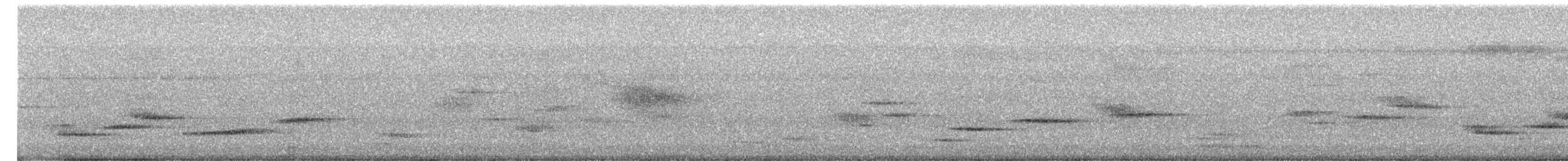 白斑紫嘯鶇(黃嘴) - ML652706625