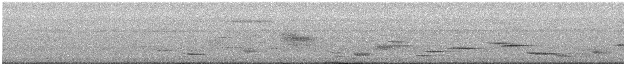 白斑紫嘯鶇(黃嘴) - ML652706626