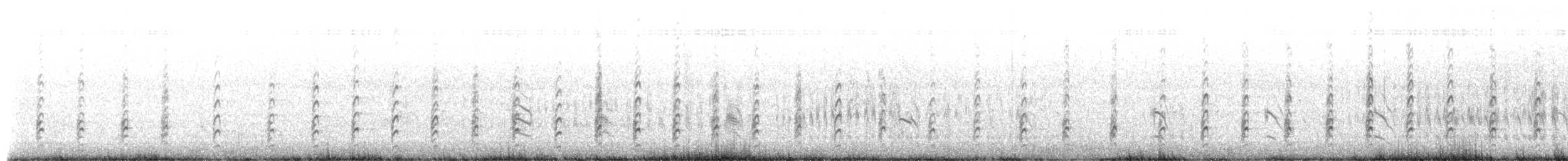 Cigüeñuela Cuellinegra (Hawaiana) - ML652711932