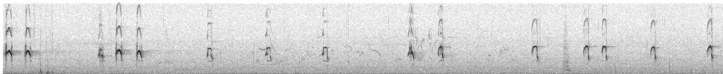 pták sp. - ML652715869