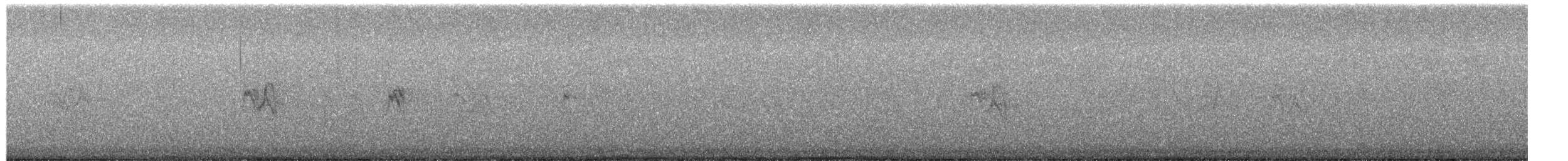 Pine Siskin - ML652715978