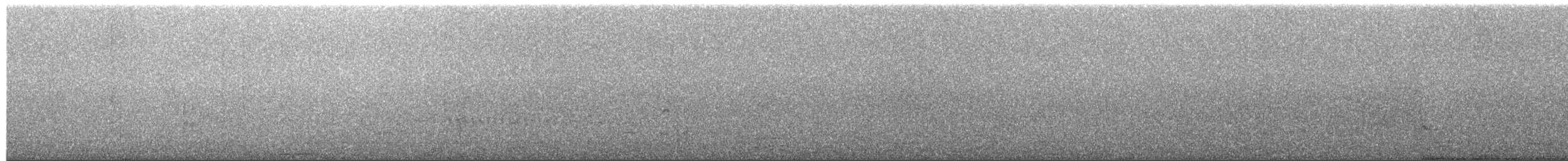 White-tipped Dove - ML652716177