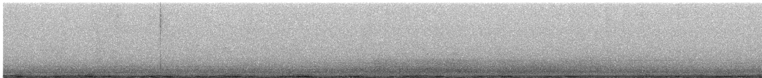 Rock Pigeon (Feral Pigeon) - ML652716772