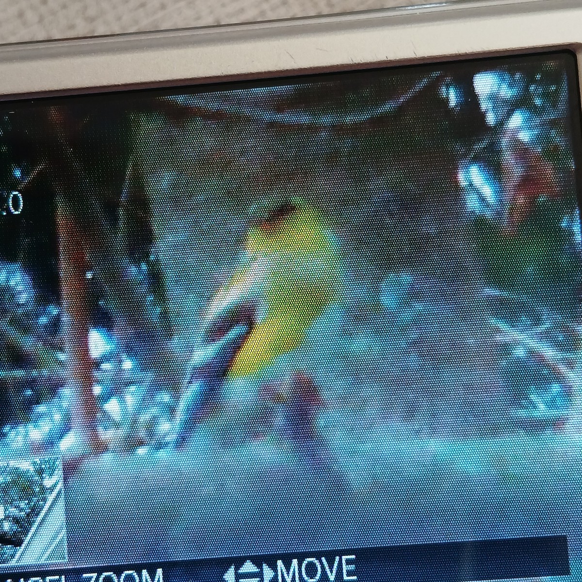 American Goldfinch - ML652717532
