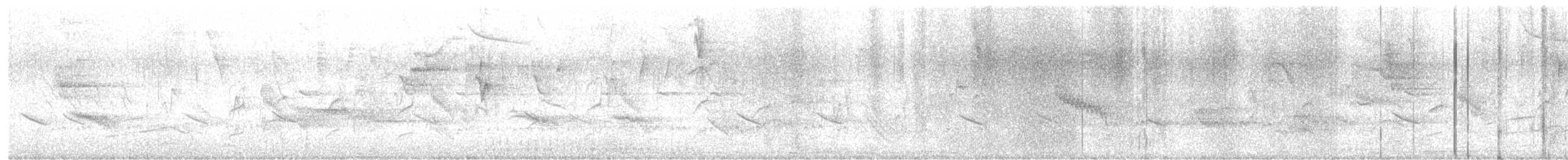 Pijuí Pechiblanco - ML652719107