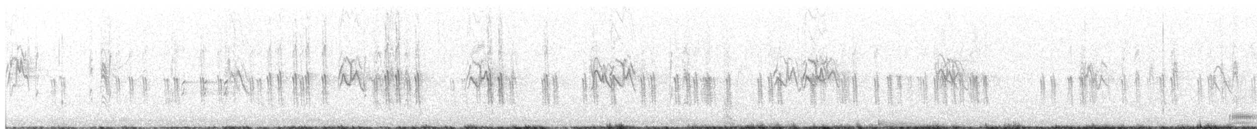 White-winged Crossbill - ML652719347