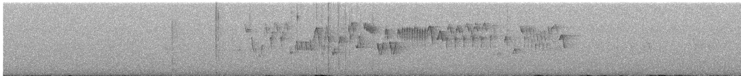 Pacific Wren - ML652719611