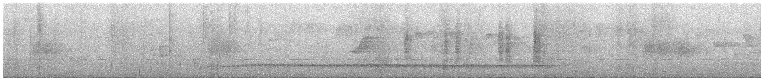 White-browed Scrubwren - ML652719857