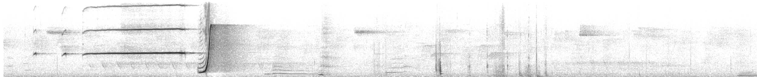 Eastern Whipbird - ML652719860