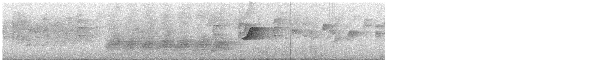 Eastern Whipbird - ML652719878