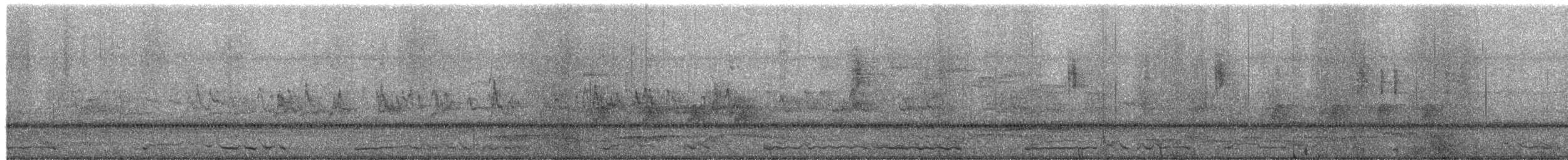 Альбертов лирохвост - ML652723385