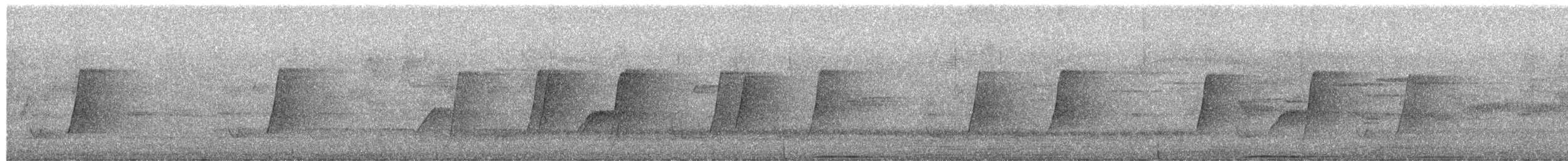 Белоголовый вяхирь - ML652723448