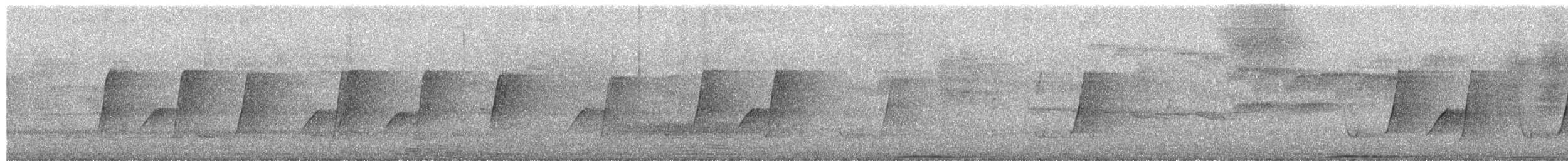 Белоголовый вяхирь - ML652723502