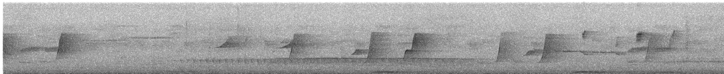 Белоголовый вяхирь - ML652723543