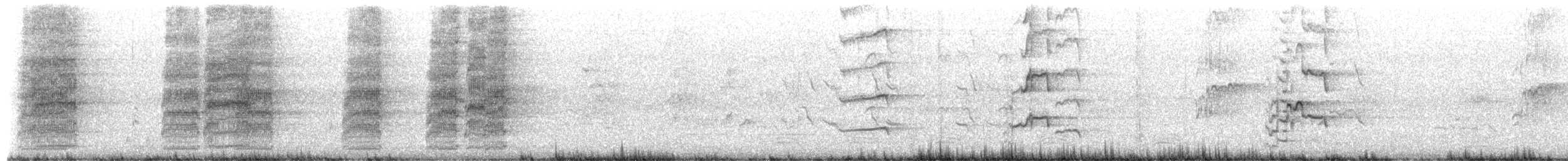 Радужный лорикет - ML652724842