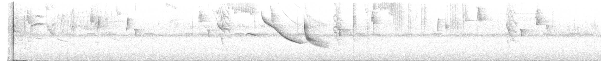 White-collared Swift - ML652726449