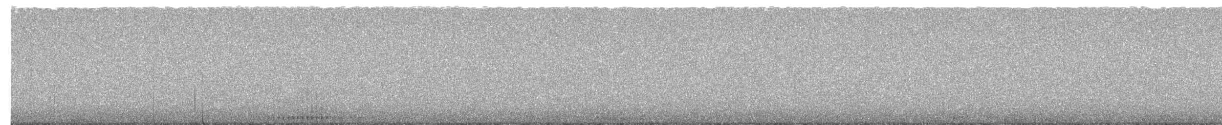 Hairy Woodpecker (Eastern) - ML652728639