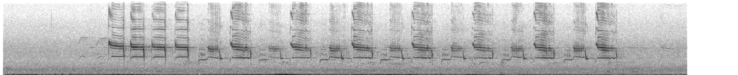 Сорочья граллина - ML652734545