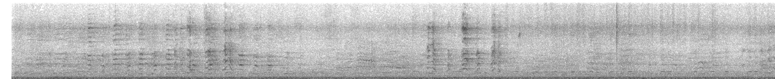 Guacamayo Severo - ML652734593