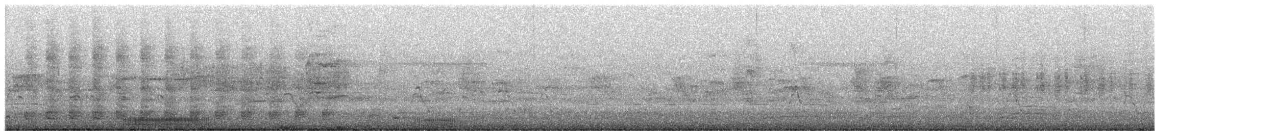 Koartza zuria (australasiarra) - ML652736277