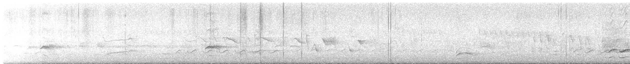 Каролинский поползень (aculeata/alexandrae) - ML652737204