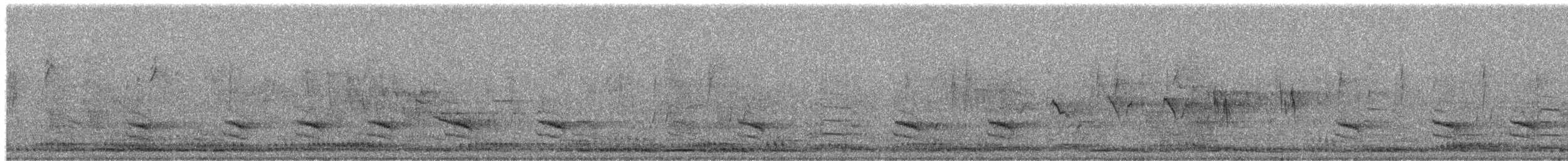 Каролинский поползень - ML652738078