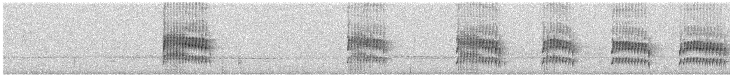 ハイムネオタテドリ - ML652742754