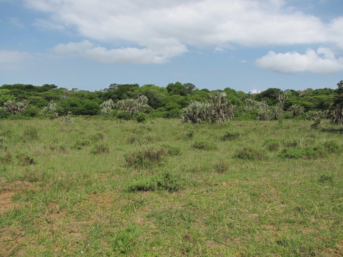 null - ML652752357