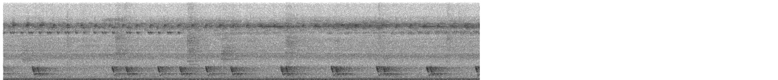 Large-tailed Nightjar - ML652753440