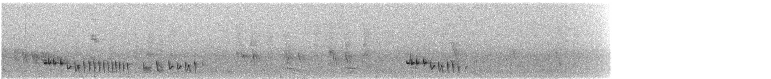 コバシミツスイ - ML65275561