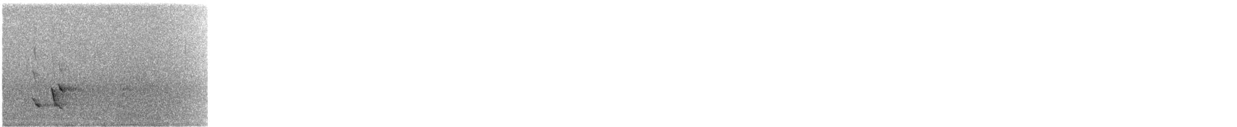 ホオジロキバネミツスイ - ML65275571