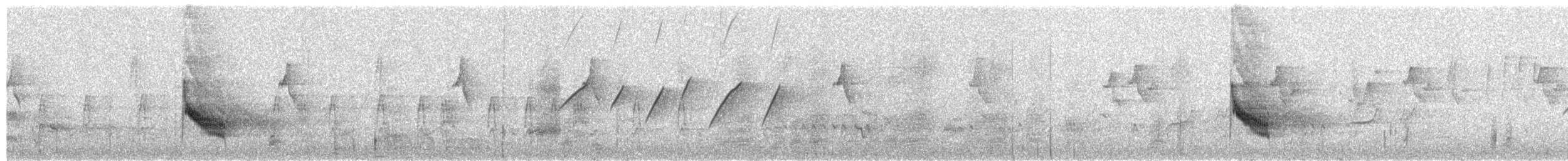 Spot-breasted Parrotbill - ML652756898